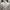 Lacoste Casual Bomber jacket Pria cream photo 2