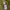 have a good time Streetwear Hoody Pria green photo 4