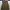 Barbour Streetwear Casual Windbreaker Pria Tan