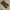 Nike Vintage Streetwear Tracksuit Pria green photo 1