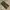 Nike Vintage Streetwear Tracksuit Pria Green