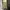 Gramicci Streetwear Minimalist Casual pants Pria multicolor photo 1