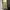 Gramicci Streetwear Minimalist Casual Pants Pria Multicolor
