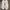 Valentino Luxury Casual Sneakers Pria gold white photo 5