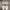 Valentino Luxury Casual Sneakers Pria gold white photo 1