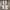 Valentino Luxury Casual Sneakers Pria gold white photo 6