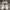 Valentino Luxury Casual Sneakers Pria Gold White