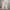 Levi's Streetwear Minimalist Casual pants Pria khaki photo 2