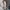 Levi's Streetwear Minimalist Casual pants Pria khaki photo 1