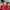 Streetwear Casual Sweatshirt Wanita multicolor red photo 5