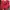 Streetwear Casual Sweatshirt Wanita multicolor red photo 4
