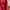 Streetwear Casual Sweatshirt Wanita multicolor red photo 6