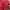Streetwear Casual Sweatshirt Wanita multicolor red photo 3
