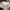 Valentino Streetwear Casual Sneakers Wanita white black photo 6