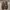 Valentino Streetwear Casual Sneakers Wanita white black photo 4