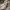 Valentino Streetwear Casual Sneakers Wanita white black photo 2