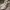 Valentino Streetwear Casual Sneakers Wanita White Black