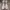 Valentino Streetwear Casual Sneakers Wanita white black photo 1