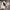 Valentino Streetwear Casual Sneakers Wanita white black photo 5