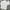 Casual Formal shirt Pria white photo 1