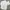 Casual Formal Shirt Pria White