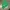 Berghaus Streetwear Gorpcore Windbreaker Pria Green