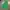 Berghaus Streetwear Gorpcore Windbreaker Pria green photo 1