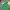 Berghaus Streetwear Gorpcore Windbreaker Pria Green
