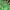 Berghaus Streetwear Gorpcore Windbreaker Pria green photo 4