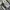 Japanese brand Streetwear Casual Short Pria white black photo 6