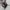Billabong Vintage Y2K Bag Pria black photo 2