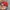 Vintage Streetwear Hat Pria red photo 4