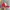 Vintage Streetwear Hat Pria red photo 2