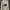 KIRSH Vintage Streetwear Suit Pria cream photo 1