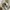 KIRSH Vintage Streetwear Suit Pria cream photo 3