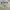 KIRSH Vintage Streetwear Suit Pria cream photo 2