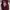 Streetwear Biker Bomber jacket Pria multicolor photo 1
