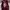 Streetwear Biker Bomber Jacket Pria Multicolor