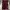 Streetwear Biker Bomber jacket Pria multicolor photo 2