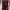 Streetwear Biker Bomber Jacket Pria Multicolor