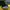 Kappa Streetwear Sportswear Hoody Pria yellow photo 3