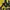 Kappa Streetwear Sportswear Hoody Pria yellow photo 2