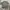 Nike Casual Jersey Pria gray photo 1