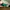 Converse Chuck 70 Hacked Archive Low Top photo 2