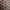 VANS Grunge Skater Sneakers Pria multicolor photo 2