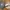 New Balance Streetwear Casual Sneakers Pria cream photo 1