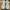 New Balance Streetwear Casual Sneakers Pria cream photo 3