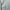 Streetwear Sweater Pria gray photo 6