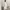 Muslim Maxi dress Wanita white photo 1