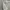 Muslim Maxi dress Wanita white photo 5